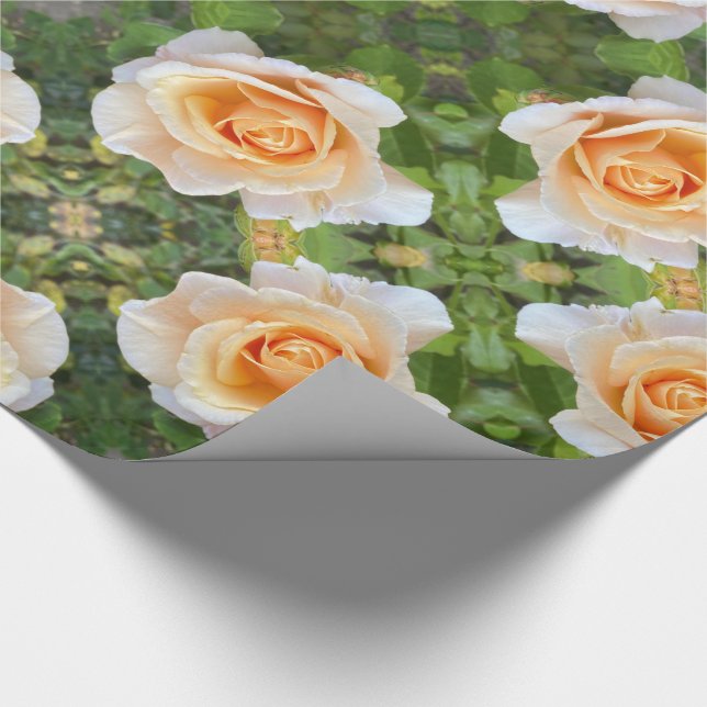 Romantisk Orange Rosor Ro Flowers Blommigt Presentpapper (Hörn)