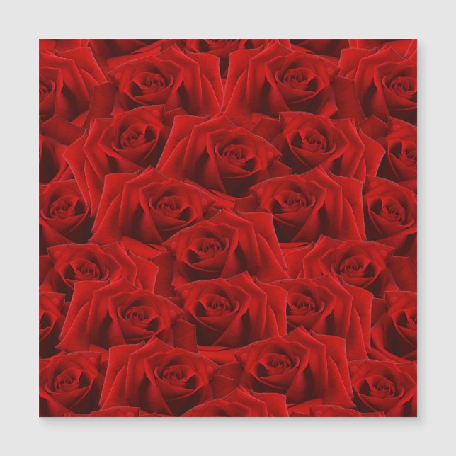 Romantisk röd ros (Framsida)