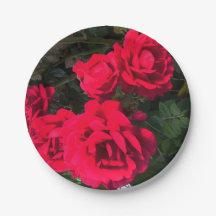 Romantisk röd ros blomsterfest