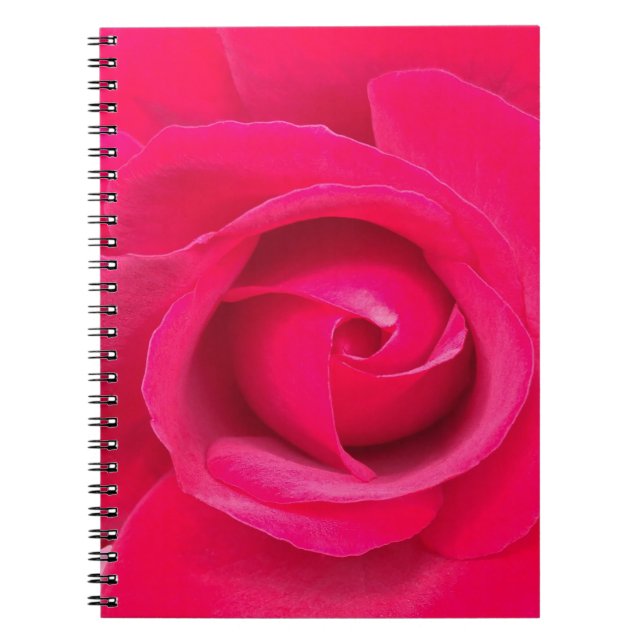 Romantisk röd rosa ros anteckningsbok med spiral (Framsidan)