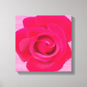 Romantisk röd rosa ros canvastryck