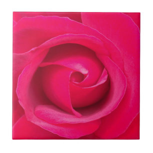 Romantisk röd rosa ros kakelplatta