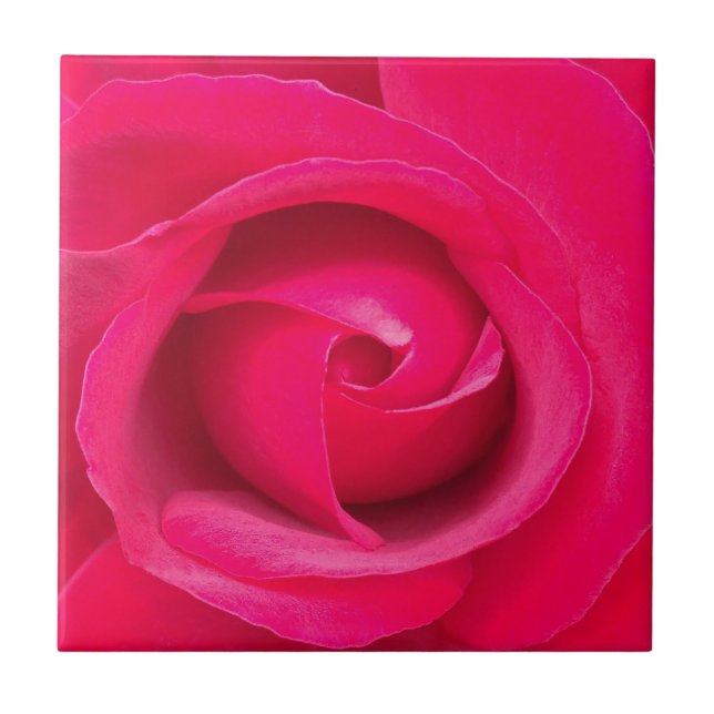 Romantisk röd rosa ros kakelplatta (Framsidan)