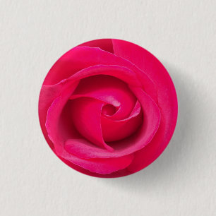 Romantisk röd rosa ros knapp