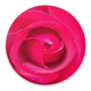 Romantisk röd rosa ros knopp