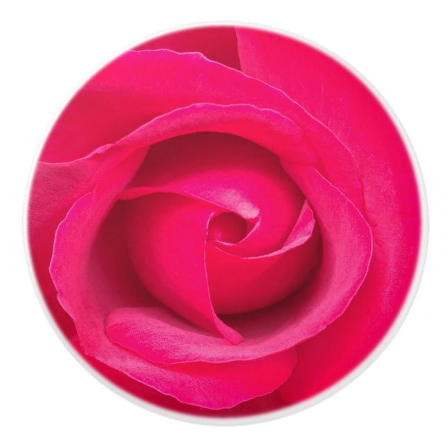 Romantisk röd rosa ros knopp (Framsidan)