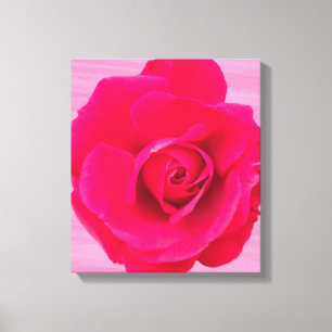 Romantisk röd rosa ros v2 canvastryck