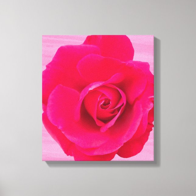 Romantisk röd rosa ros v2 canvastryck (Framsida)