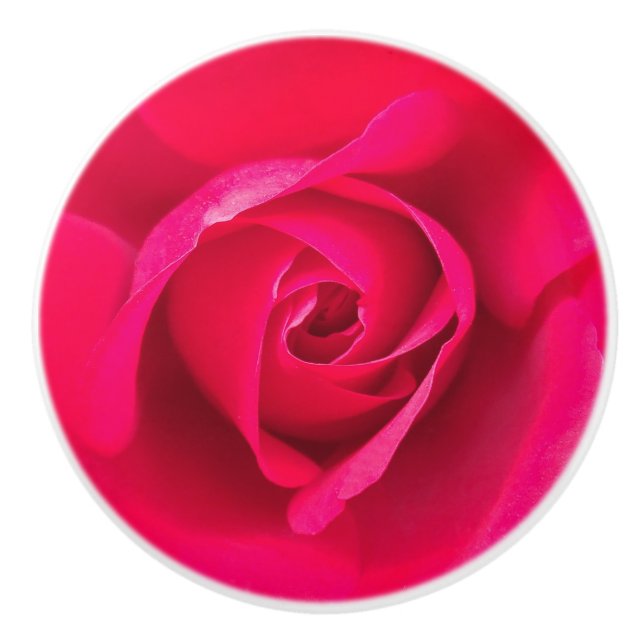 Romantisk röd rosa ros v2 knopp (Framsidan)