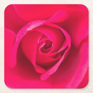 Romantisk röd rosa ros v2 underlägg papper kvadrat