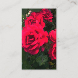Romantisk röd rosengård rosarium tilläggskort