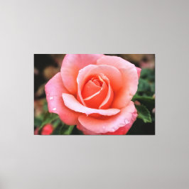 Romantisk Ros Botanisk Konsttryck Canvastryck