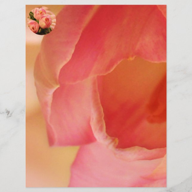Romantisk Rosa Butterfly Tulip (Framsida)