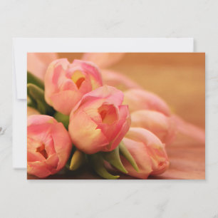 Romantisk Rosa Butterfly Tulip