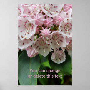 Romantisk Rosa Flowers Blommar Floral Photography Poster