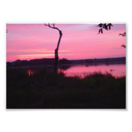 Romantisk Rosa Himmel Fototryck