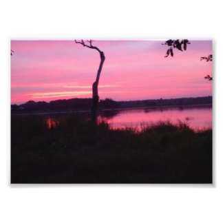 Romantisk Rosa Himmel Fototryck