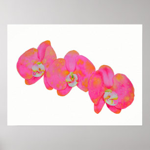 Romantisk Rosa Orchid vattenfärgsmålning Poster