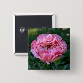 Romantisk Rosa Peony Blomning Mjuk Pastell Blomma Knapp