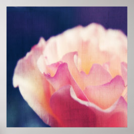 Romantisk rosa ros på canvas makro abstrakt poster