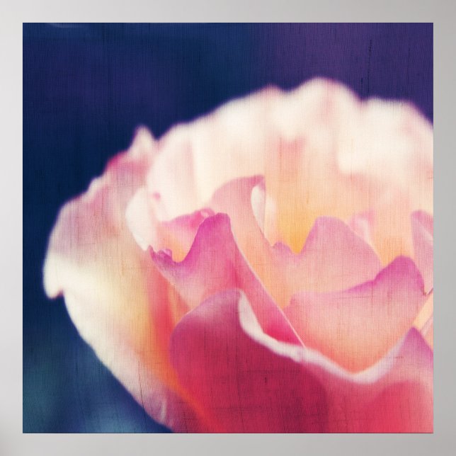 Romantisk rosa ros på canvas makro abstrakt poster (Framsidan)