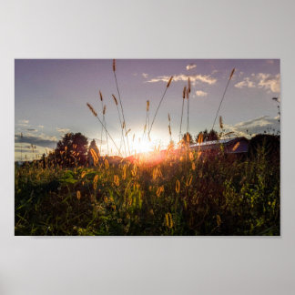 Romantisk solnedgång i fält (Graz, Österrike) Poster