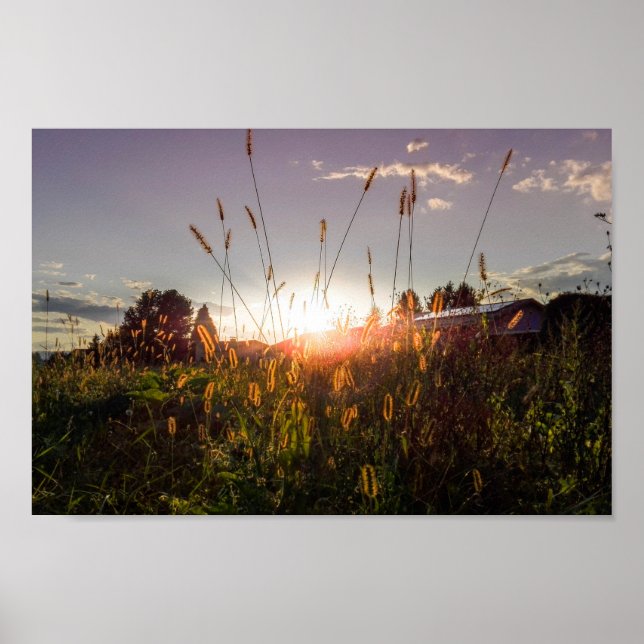 Romantisk solnedgång i fält (Graz, Österrike) Poster (Framsidan)