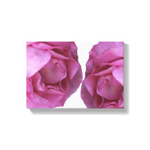 Romantisk söt rosa ros enkel modern blommigt