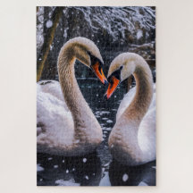 Romantisk Svanar i Winter Wonderland