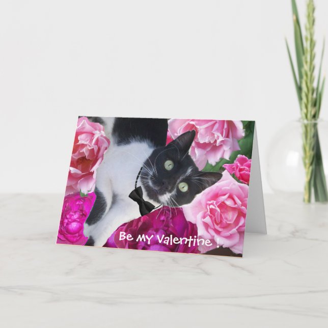 ROMANTISK VALENTINS DAGS-KATT MED ROSA ROS HELGKORT (Framsida)
