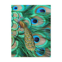 romantisk vintage turkos teal fredsock bröllop