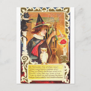 Romantisk Vintage Witch Vykort