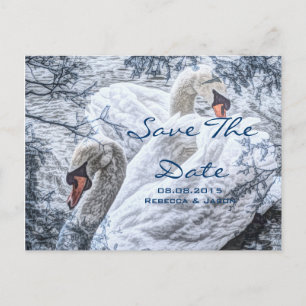 romantisk vinter sjö vit svan bröllop meddelande vykort