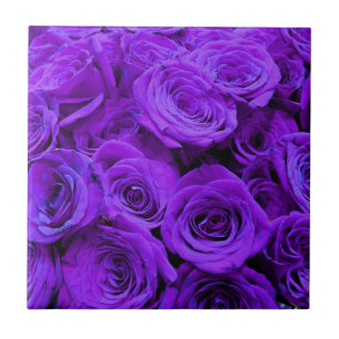 romantisk violet lila ro, söt bukett med rosor kakelplatta