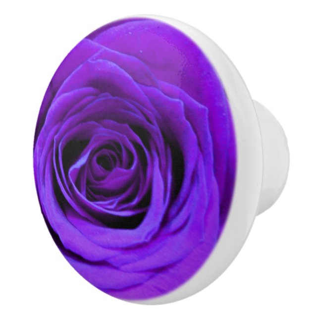 romantisk violet lila ro, söt bukett med rosor knopp (Höger)