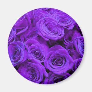 romantisk violet lila ro, söt bukett med rosor magnet