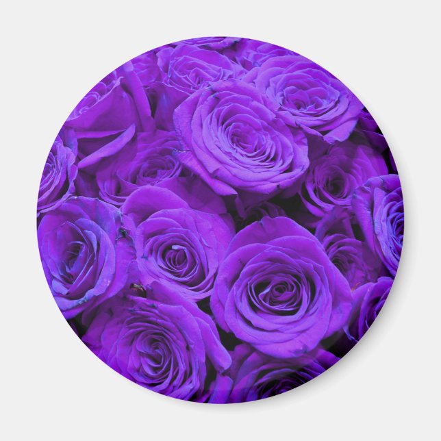 romantisk violet lila ro, söt bukett med rosor magnet (Framsidan)