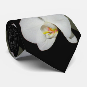 Romantisk vit Orchids, foto av tropisk blommigt Slips