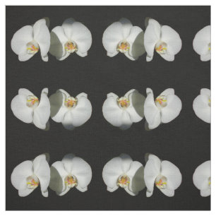 Romantisk vit Orchids, foto av tropisk blommigt Tyg