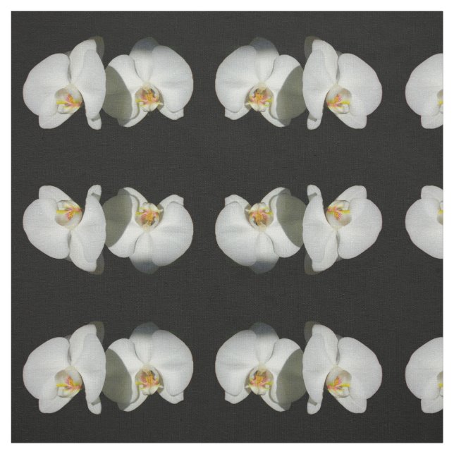 Romantisk vit Orchids, foto av tropisk blommigt Tyg (Provkarta)