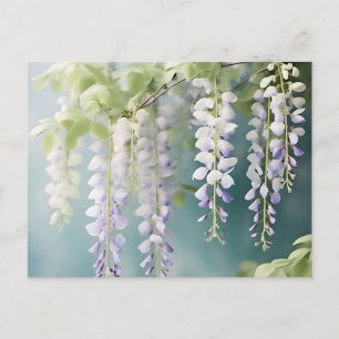 Romantisk Wisteria-ranka i vattenfärg på dammig bl Vykort