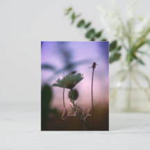 Romantiska blommor Boho – Botanisk fantasi Tack