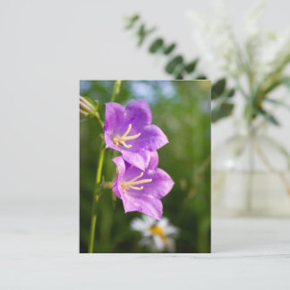 Romantiska blommor – botanisk fantasi Boho Vykort
