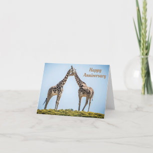 Romantiska Giraffe Couple Porträtt Lycklig-årsdage Kort