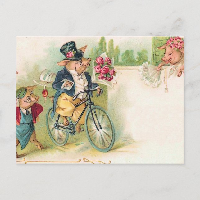 Romantiska grisar vykort (Framsida)