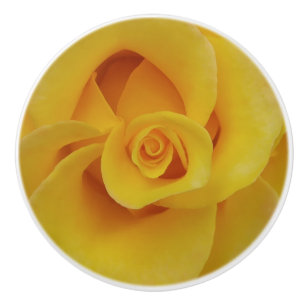 Romantiska gula rosenblad knopp