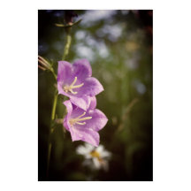 Romantiska Mörka Blommor – Botanisk Fantasy Boho