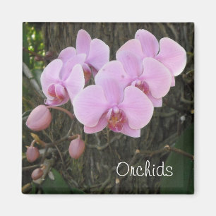 Romantiska orkidéer magnet