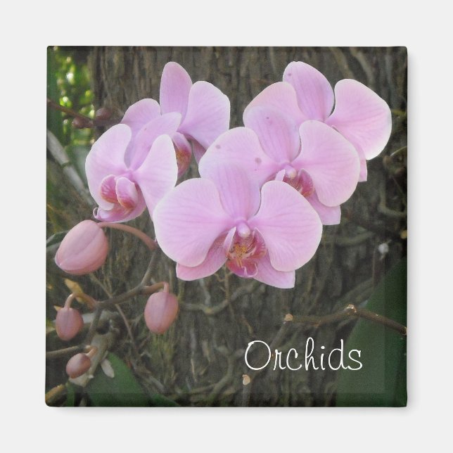 Romantiska orkidéer magnet (Framsidan)