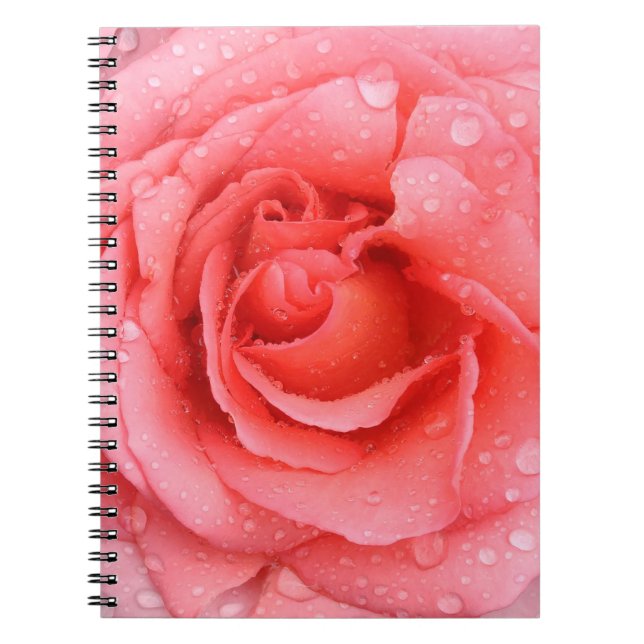 Romantiska röda rosa ros vatten droppar anteckningsbok (Framsidan)